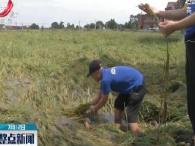 【行动起来 防汛抗洪】鹰潭：农业大灾保险助力受灾农户生产自救