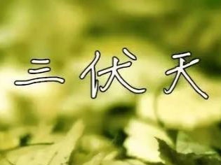 “加长版”三伏天来了 教你几招“饮食攻略”安然过夏