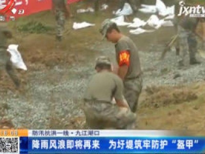 【防汛抗洪一线】九江湖口：降雨风浪即将再来 为圩堤筑牢防护“盔甲”