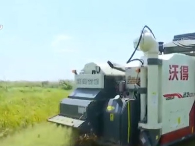 【行动起来 防汛救灾】九江柴桑区：抓好水稻抢收抢种 全力恢复灾后生产
