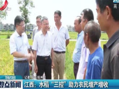 江西：水稻“三控”助力农民增产增收