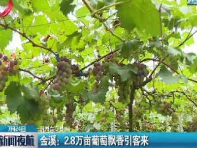 金溪：2.8万亩葡萄飘香引客来