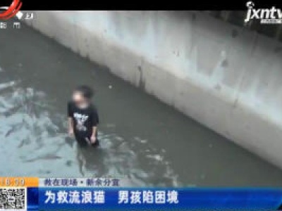 【救在现场】新余分宜：为救流浪猫 男孩陷困境