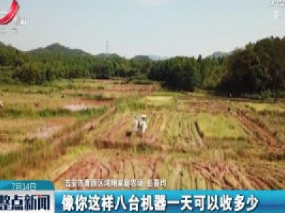 【行动起来 防汛抗洪】吉安：做好灾后夏粮抢收 将损失降到最低