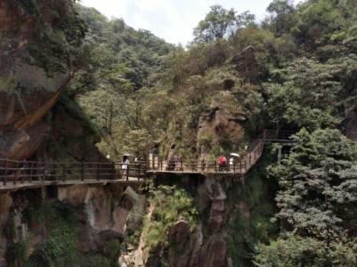 记者观察：江西第二届森林旅游节即将开启，暑假森林旅游正是好时节