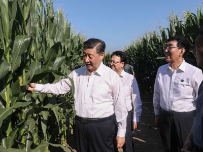 一见·总书记心中的治国理政头等大事