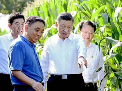 海报｜习近平在吉林考察