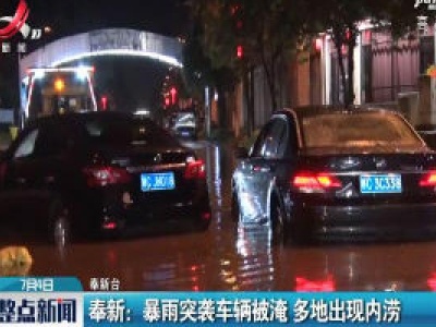 奉新：暴雨突袭车辆被淹 多地出现内涝