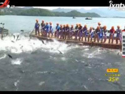 大坝泄洪后千岛湖首次“巨网捕鱼”一网50000斤！