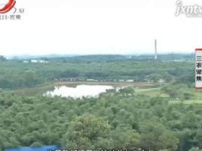 三农聚焦20200728 雷竹产业助力脱贫攻坚