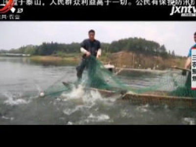 三农聚焦20200724 南城鳜鱼