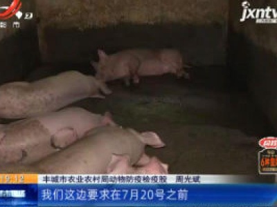 【“病害猪无害化处理补贴两年没到位”后续】宜春丰城：有关部门正在办理 补贴7月底有望发放到位