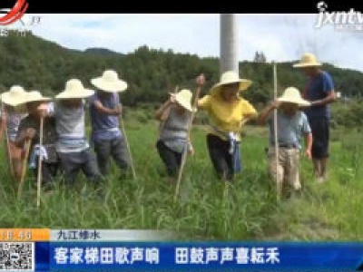 九江修水：客家梯田歌声响 田鼓声声喜耘禾