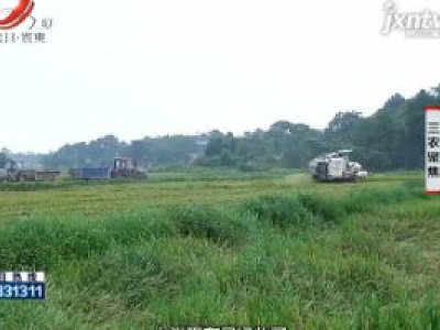 三农聚焦20200722 提前的“双抢