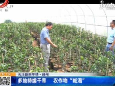 【关注赣南旱情】赣州：多地持续干旱 农作物“喊渴”