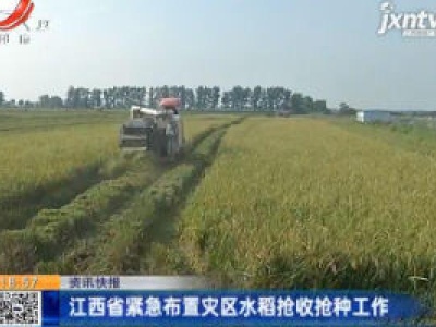 江西省紧急布置灾区水稻抢收抢种工作