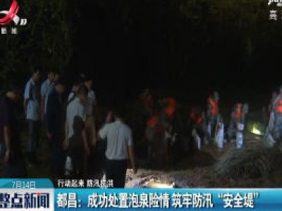 【行动起来 防汛抗洪】都昌：成功处置泡泉险情 筑牢防汛“安全堤”