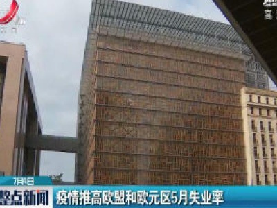 疫情推高欧盟和欧元区5月失业率