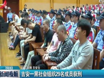 吉安一黑社会组织29名成员获刑