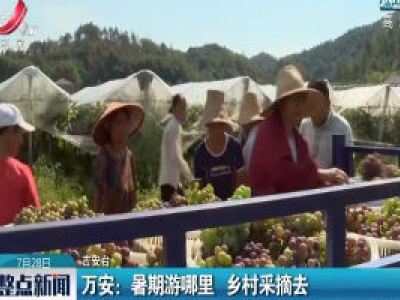 万安：暑期游哪里 乡村采摘去