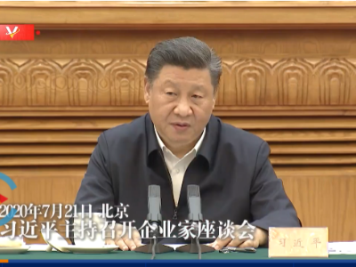 独家视频丨习近平致谢广大企业和个体工商户