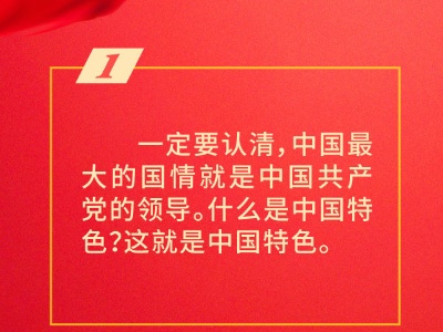 习近平总书记论坚持和完善党的领导