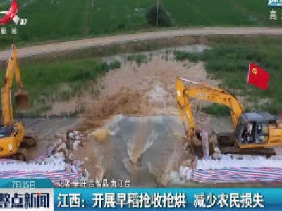 江西：开展早稻抢收抢烘 减少农民损失