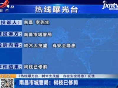 【《热线曝光台：树木太茂盛 存在安全隐患》反馈】南昌市城管局：树枝已修剪