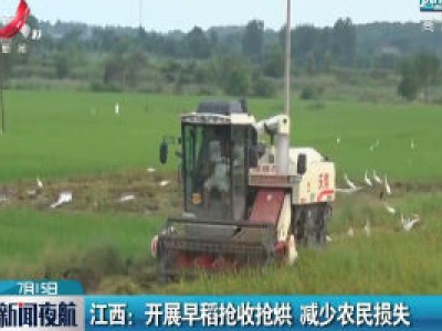 江西：开展早稻抢收抢烘 减少农民损失