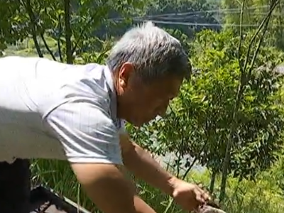 朱增义：身残志坚富而思进 酿造甜蜜幸福生活