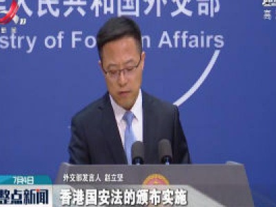 外交部：香港国安法有利于保障各国投资者在港合法权益