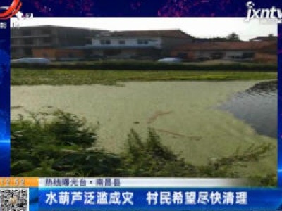 【热线曝光台】南昌县：水葫芦泛滥成灾 村民希望尽快清理