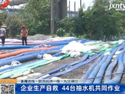 【直播连线·防汛抗洪一线】九江湖口：企业生产自救  44台抽水机共同作业