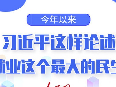 图解：今年以来，习近平这样论述就业这个最大的民生