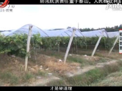 稻花香里20200727
