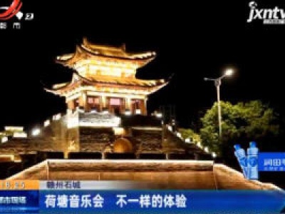 赣州石城：荷塘音乐会 不一样的体验