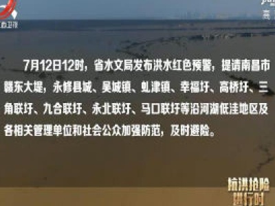 社会传真20200713 直击修河三角联圩抢险救援一线