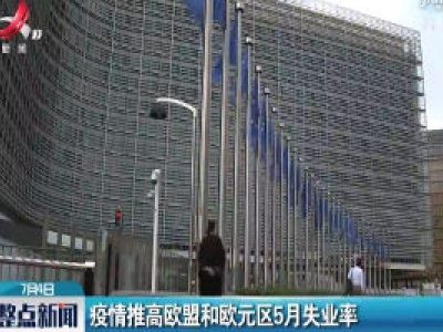 疫情推高欧盟和欧元区5月失业率