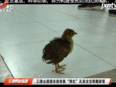 江西旅游报道20200731