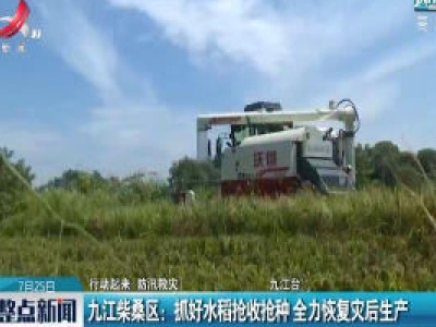 【行动起来 防汛救灾】九江柴桑区：抓好水稻抢收抢种 全力恢复灾后生产