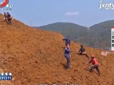 三农聚焦20200702 薯类作物翻身记（上）