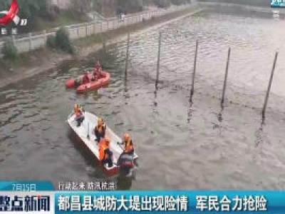 【行动起来 防汛抗洪】都昌县城防大堤出现险情 军民合力抢险