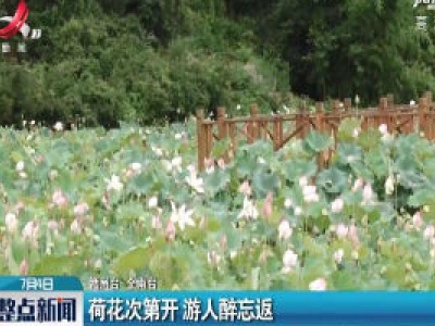 赣州：荷花次第开 游人醉忘返