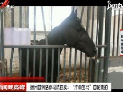 扬州首例活体司法拍卖：“汗血宝马” 首轮流拍