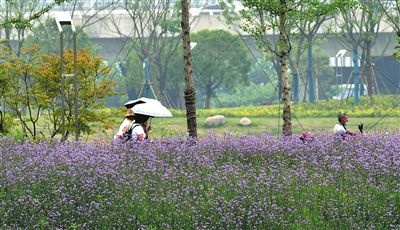 南昌市对乌沙河进行治理 垃圾场变身城市公园