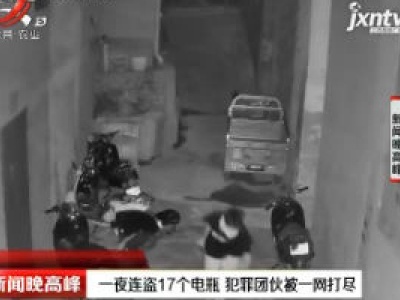 南宁：一夜连盗17个电瓶 犯罪团伙被一网打尽
