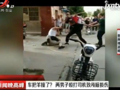 西安：车把羊撞了？ 两男子殴打司机致颅脑损伤