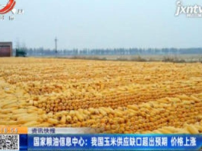 国家粮油信息中心：我国玉米供应缺口超出预期 价格上涨