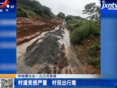 【热线曝光台】九江共青城：村道受损严重 村民出行难