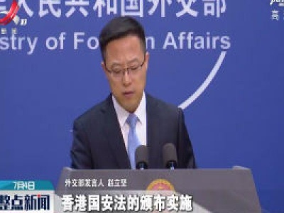 外交部：香港国安法有利于保障各国投资者在港合法权益